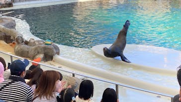 城崎マリンワールドに投稿された画像（2025/5/5）