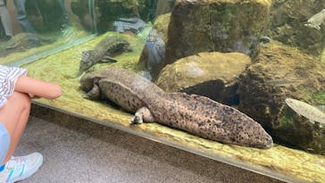 城崎マリンワールドに投稿された画像（2025/5/5）