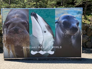 城崎マリンワールドに投稿された画像（2025/5/5）