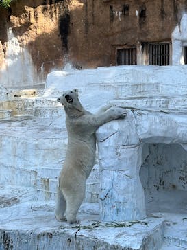 天王寺動物園に投稿された画像（2025/5/5）