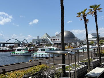 名古屋港水族館に投稿された画像（2025/5/5）