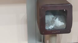 みんな大好き！！ペット王国に投稿された画像（2025/5/5）