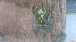 みんな大好き！！ペット王国に投稿された画像（2025/5/5）