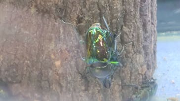 みんな大好き！！ペット王国に投稿された画像（2025/5/5）