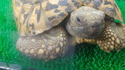 みんな大好き！！ペット王国に投稿された画像（2025/5/5）