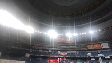 みんな大好き！！ペット王国に投稿された画像（2025/5/5）