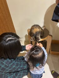 Cat Café MOFF アリオ倉敷店に投稿された画像（2025/5/5）