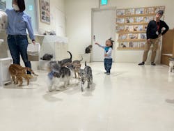 Cat Café MOFF アリオ倉敷店に投稿された画像（2025/5/5）