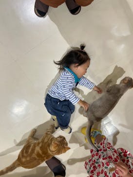 Cat Café MOFF アリオ倉敷店に投稿された画像（2025/5/5）