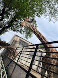 宇都宮動物園に投稿された画像（2025/5/5）