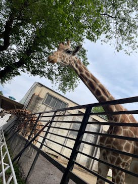宇都宮動物園に投稿された画像（2025/5/5）