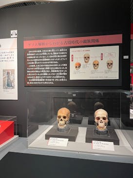 特別展「古代DNA－日本人のきた道」（国立科学博物館）に投稿された画像（2025/5/5）