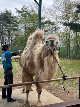東北サファリパークに投稿された画像（2025/5/5）