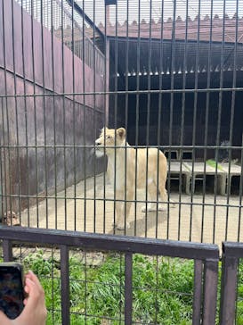 東北サファリパークに投稿された画像（2025/5/5）