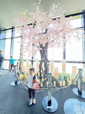 東京タワーに投稿された画像（2025/5/5）