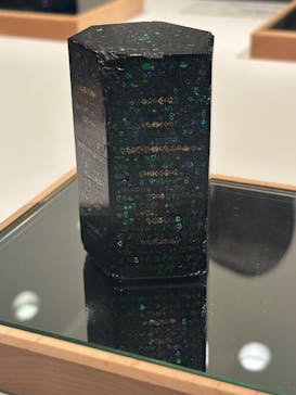 ポケモン×工芸展－美とわざの大発見－に投稿された画像（2025/5/5）