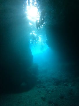 武藤潜水に投稿された画像（2025/5/5）