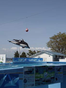 のとじま水族館に投稿された画像（2025/5/5）