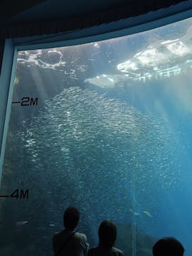 のとじま水族館に投稿された画像（2025/5/5）