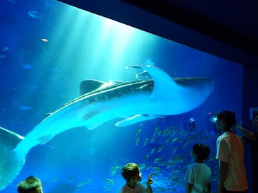 のとじま水族館に投稿された画像（2025/5/5）