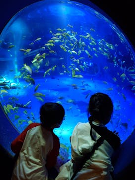 のとじま水族館に投稿された画像（2025/5/5）