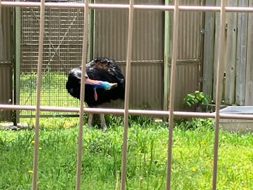 東武動物公園に投稿された画像（2025/5/5）