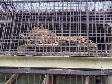 東武動物公園に投稿された画像（2025/5/5）