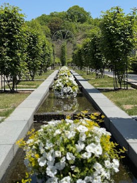 ぎふワールド・ローズガーデンに投稿された画像（2025/5/5）