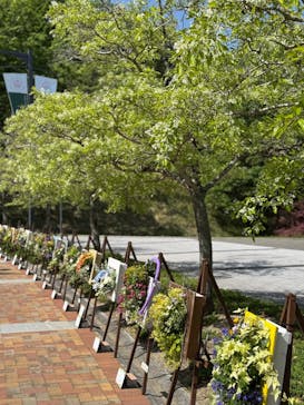 ぎふワールド・ローズガーデンに投稿された画像（2025/5/5）