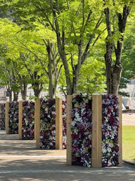 ぎふワールド・ローズガーデンに投稿された画像（2025/5/5）