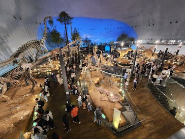福井県立恐竜博物館に投稿された画像（2025/5/5）