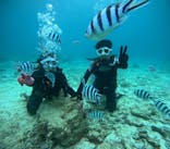 青の洞窟専門店　沖縄ダイビングショップ和に投稿された画像（2025/5/5）