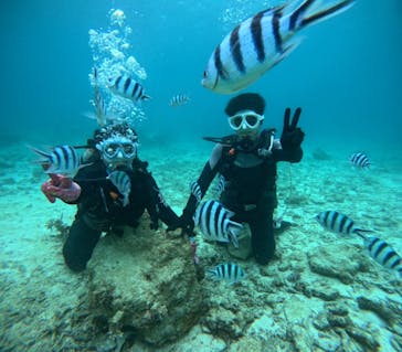 青の洞窟専門店　沖縄ダイビングショップ和に投稿された画像（2025/5/5）