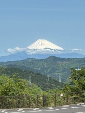 伊豆シャボテン動物公園に投稿された画像（2025/5/5）