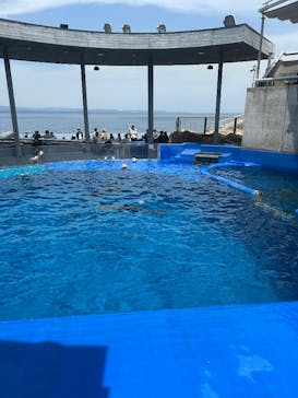 大分マリーンパレス水族館 「うみたまご」に投稿された画像（2025/5/5）