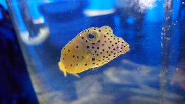 NIFREL（ニフレル）に投稿された画像（2025/5/5）