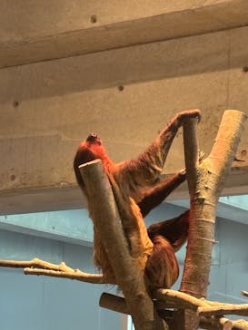 霞ケ浦 どうぶつとみんなのいえに投稿された画像（2025/5/5）