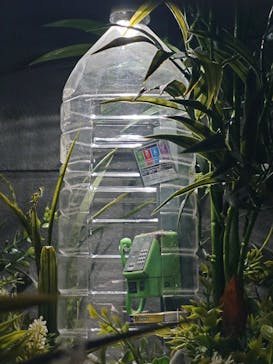 Mozuミニチュア展2025　ようこそ、ちいさな世界へ。に投稿された画像（2025/5/5）