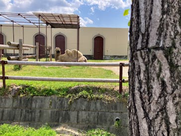 東武動物公園に投稿された画像（2025/5/5）