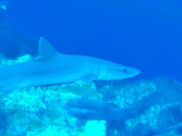 アクアワールド茨城県大洗水族館に投稿された画像（2025/5/5）
