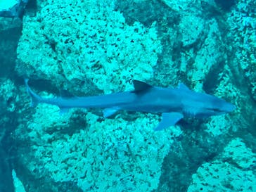 アクアワールド茨城県大洗水族館に投稿された画像（2025/5/5）