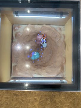 横浜アンパンマンこどもミュージアムに投稿された画像（2025/5/5）