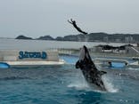 名古屋港水族館に投稿された画像（2025/5/5）