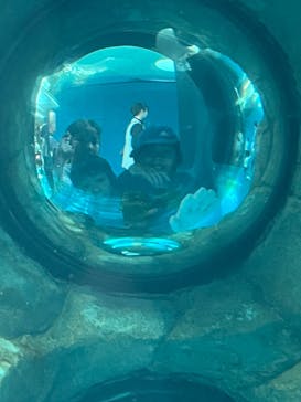 しながわ水族館に投稿された画像（2025/5/5）