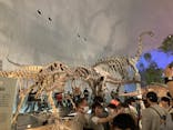 福井県立恐竜博物館に投稿された画像（2025/5/5）
