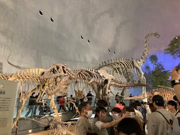 福井県立恐竜博物館に投稿された画像（2025/5/5）