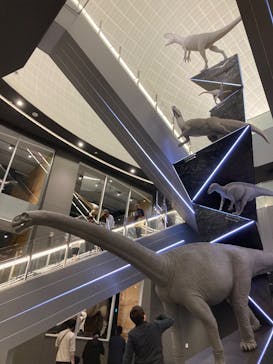 福井県立恐竜博物館に投稿された画像（2025/5/5）