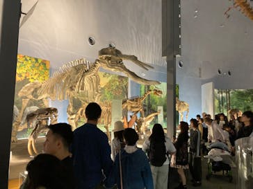 福井県立恐竜博物館に投稿された画像（2025/5/5）