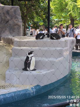 恩賜上野動物園に投稿された画像（2025/5/5）