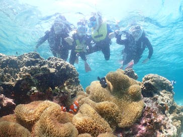 タビワク　宮古島に投稿された画像（2025/5/5）